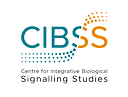 CIBSS logo