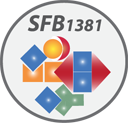SFB1381