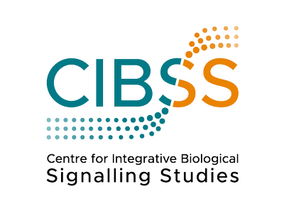 CIBSS